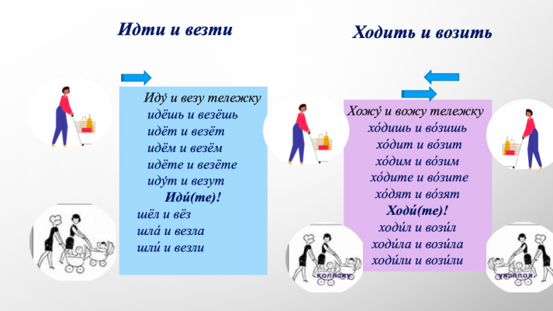 грамматика. лексика. глаголы везти-возить, вести-водить, нести-носить .... . . 